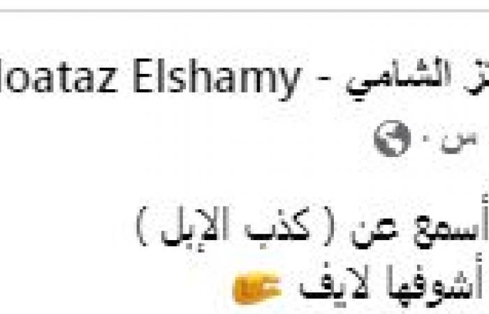 زمالك فانز | معتز الشامي يعلق بطريقته على تصريحات زيزو